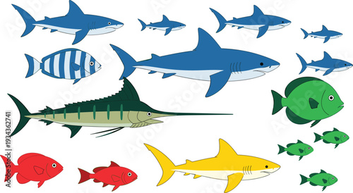 Colorful marine fish collection featuring sharks, swordfish, tuna and tropical reef species isolated on white background vector illustration set