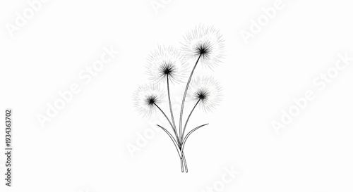 Four delicate black and white dandelions appear to float against a white background