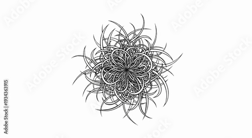 Intricate black and white radial pattern with spiraling tendrils reaching outwards