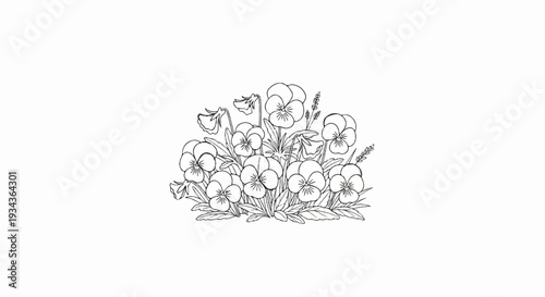 Sketch of a vibrant cluster of blooming pansy flowers