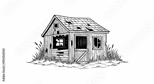Dilapidated wooden shack with broken windows and patchy roof surrounded by tall grass