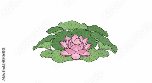Delicate pink lotus flower surrounded by lush green lily pads