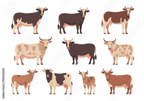Collection of Various Types of Cows and Cattle Breeds