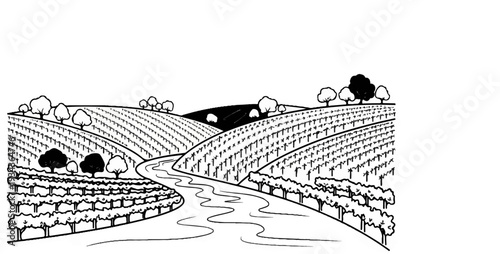 Winding river through rolling hills of lush vineyards and scattered trees