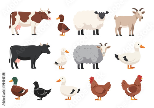 Collection of Farm Animals Including Cows, Ducks, Sheep, Goats, and Chickens in a Stylized Illustration