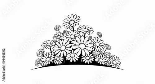 A dense cluster of daisy-like flowers with layered petals