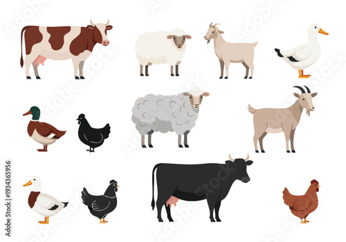 Farm animals collection cow, sheep, goat, duck, chicken, livestock illustration