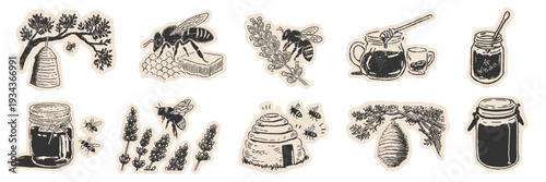 Summer bee doodles set with honey jars, beehives and botanical elements in sketch style