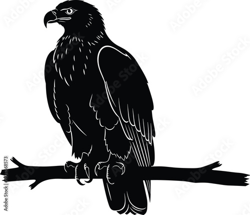 Detailed eagle silhouette perched on branch, black raptor vector illustration isolated for logo design, tattoo stencil, wildlife artwork