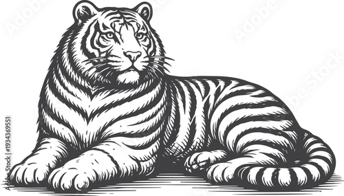 Reclining Tiger in Vintage Engraving Style Black and White Vector Illustration – Detailed Wildlife Animal Line Art