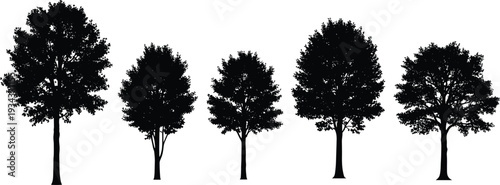 Collection of black deciduous tree silhouettes featuring various species with detailed branches and leafy crowns isolated on a white background