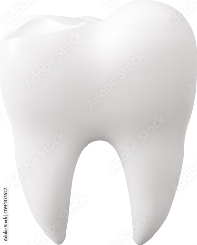 3d Tooth Model