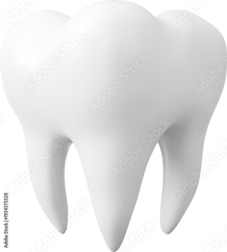3d Tooth Molar