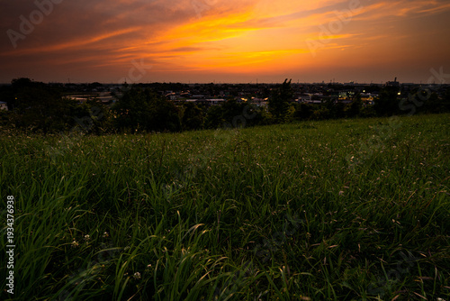 生い茂る原っぱと夕焼け
