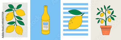 Lemon tree branch with fruits and bottle on various backgrounds