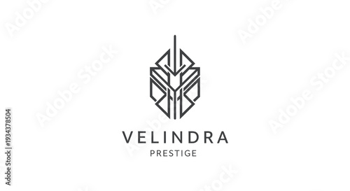 Modern geometric logo design for VELINDRA PRESTIGE