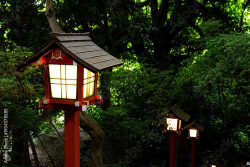 森の中の灯篭