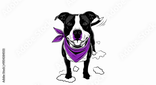 A happy black and white dog wears a purple bandana and sits in fluffy white clouds