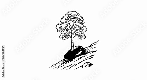 A lone tree grows from a rock on a rocky, sloped terrain