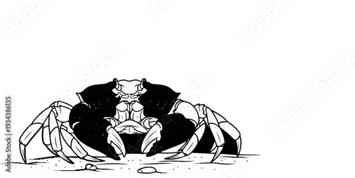 Black and white illustration of a crab with dark, patterned shell