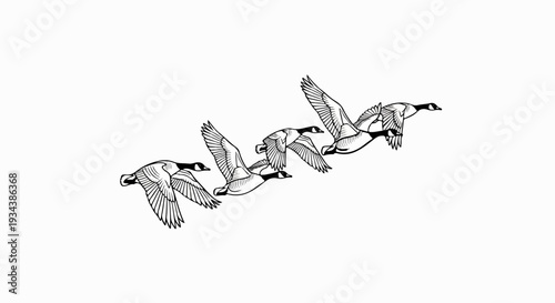 Black and white line drawing of a V-shaped flock of geese in flight