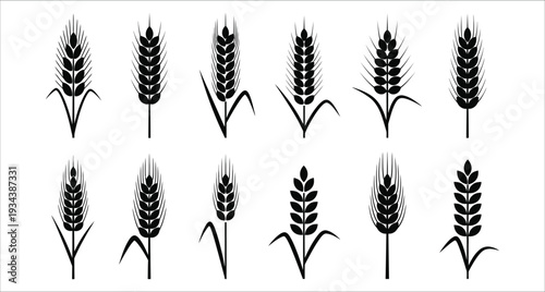 Wheat Ears Silhouette Collection Vector Illustration