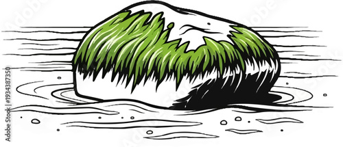 Rough textured rock covered in lush green vegetation in shallow rippling water