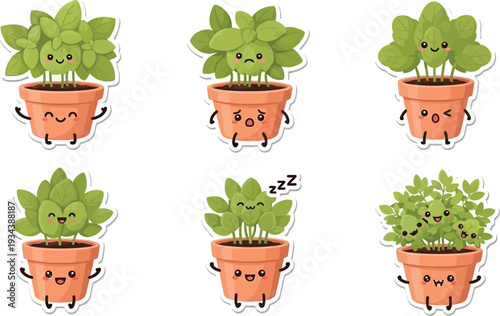 Cute basil plant seedlings express various happy and sleeping emotions in small terracotta.