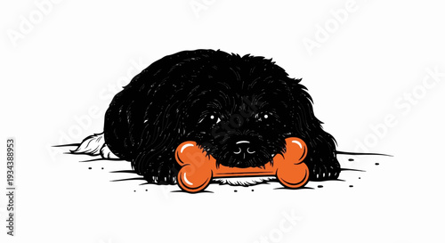 Fluffy black dog lies down with an orange bone in its mouth