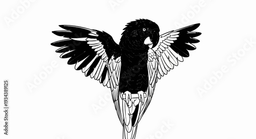 Stylized black and white illustration of a cockatoo with wings spread wide