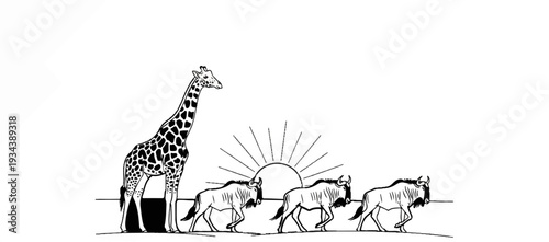 Stylized drawing of a giraffe and wildebeest migration at sunrise