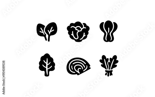 Collection of six stylized icons representing various leafy green vegetables and cabbage