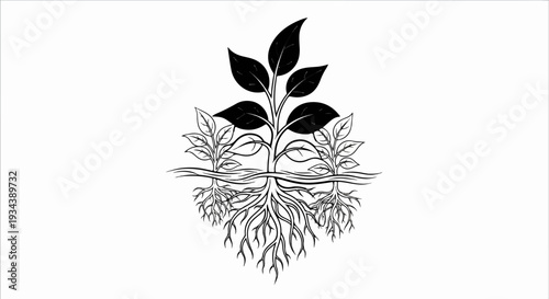 Stylized illustration of plants with roots and leaves above ground