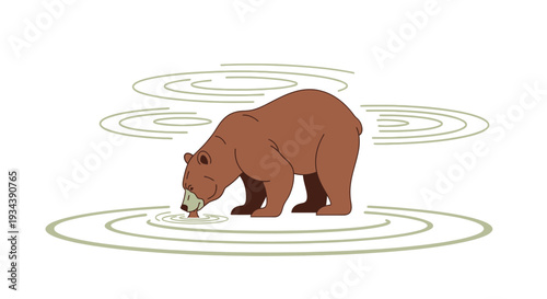 Brown Bear Drinking Water Ripples, Wildlife Nature Illustration