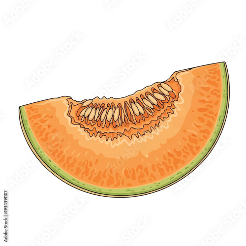 A vibrant orange slice of cantaloupe with green rind and seeds, illustrated in a colorful cartoon style. Perfect for food blogs, recipe websites, and healthy eating materials.