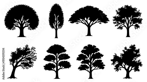 Various Tree Silhouettes  Forest and Landscape Black Vector Icons