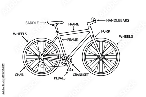 Bicycle Parts Diagram Labeled Illustration