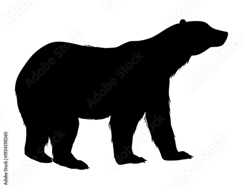 Arctic polar bear silhouette vector illustration. Art of forest animal painted by black inks on isolated background. Mammal predator profile for tundra wildlife themes, north fauna, print, icon.