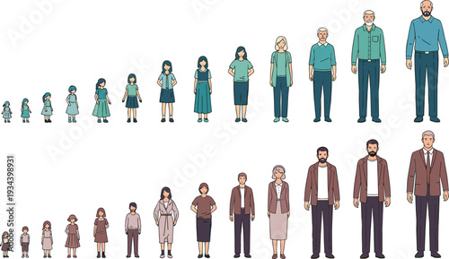 Vector illustration of human aging process showing male and female life cycle from childhood to senior age in flat line art style on white.