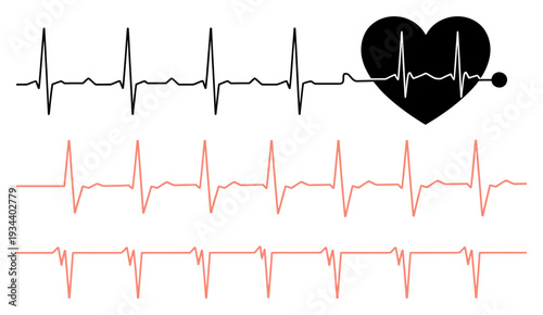 Heartbeat ECG Pulse Wave Vector Illustration