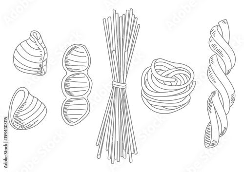 Italian Pasta Noodle Hand Drawn Vector Illustration