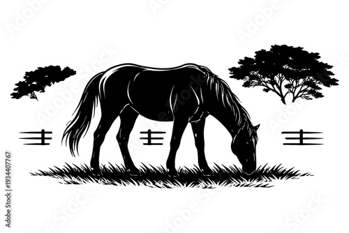 Silhouette of grazing horse with trees and fence in background.