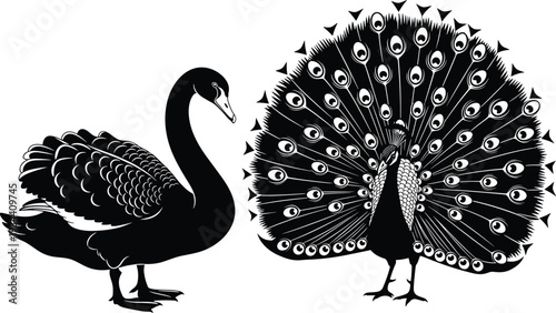 Elegant black and white silhouette illustration of swan with graceful curved neck and peacock displaying intricate fanned tail feathers, symbolizing beauty, contrast, and artistic design.