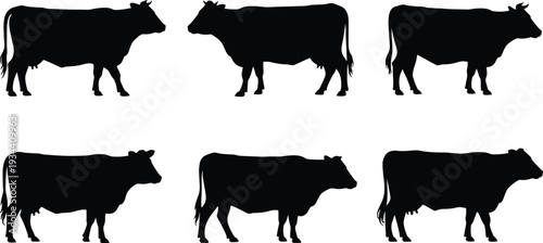 Six Black Cow Silhouettes Standing Facing Left and Right on White Background