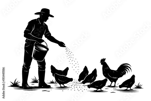 Silhouette of male farmer feeding chickens on farm.