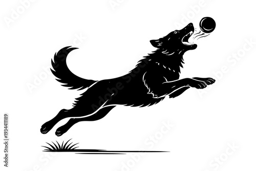 Silhouette of dog leaping to catch flying disc in dynamic action pose.