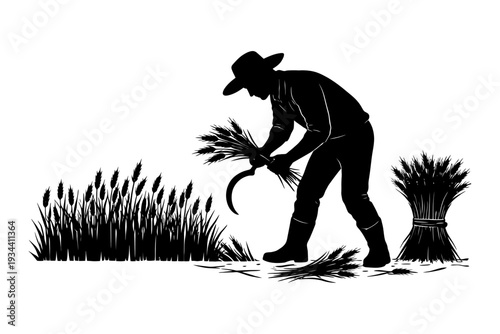 Silhouette of farmer harvesting wheat with sickle in field.