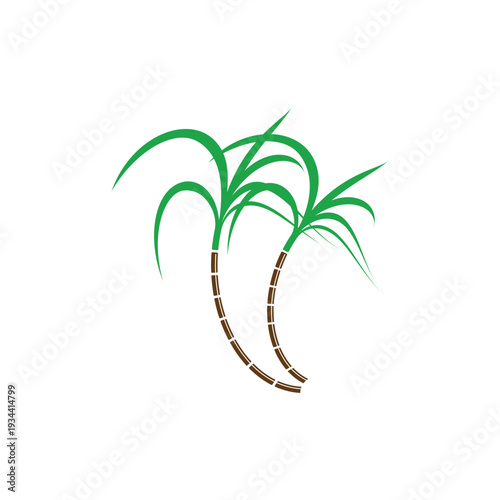 Sugarcane logo and symbol vector image