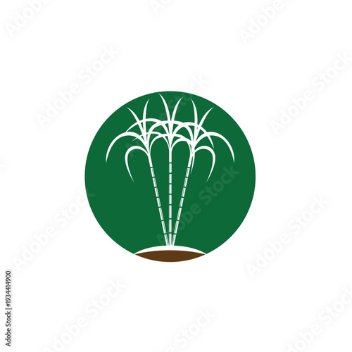 Sugarcane logo and symbol vector image