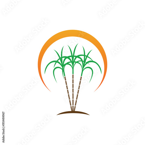 Sugarcane logo and symbol vector image